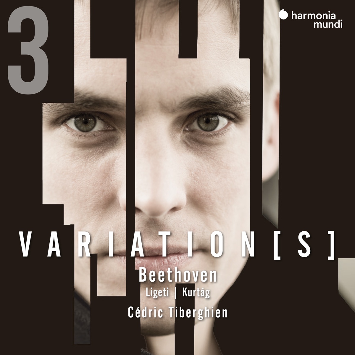 Beethoven: Complete Variations For Piano, Vol. 3 封面