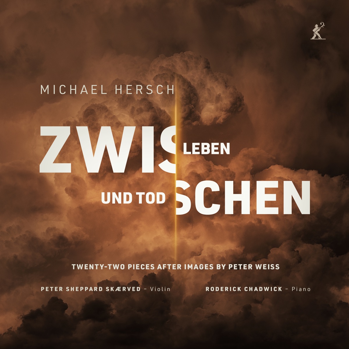 Michael Hersh: Zwischen Leben und Tod 封面