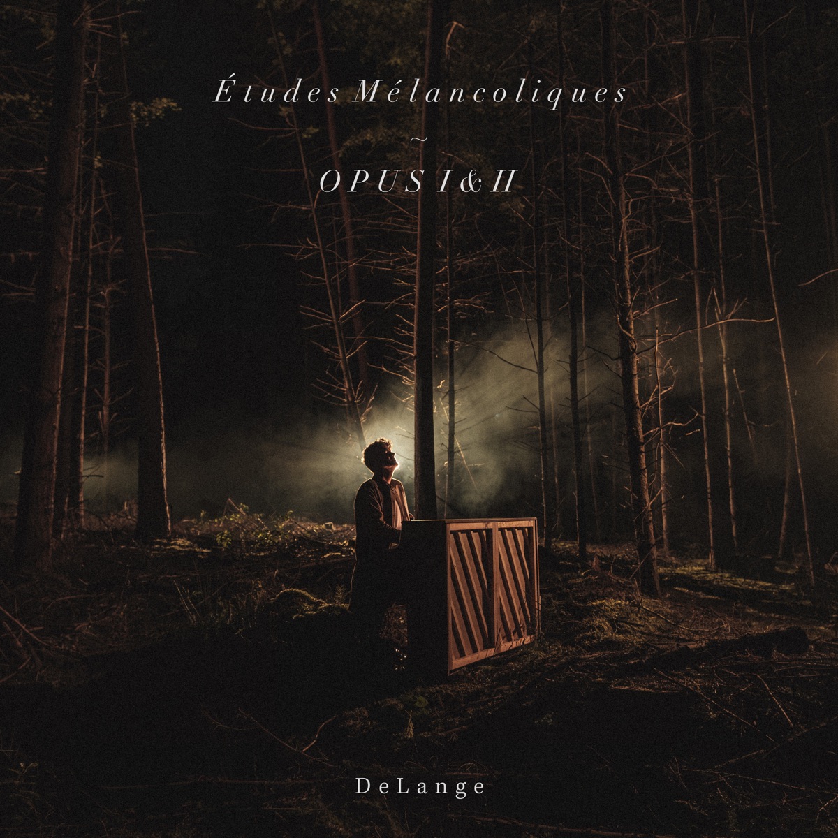 Études Mélancoliques ~ Opus I & II 封面